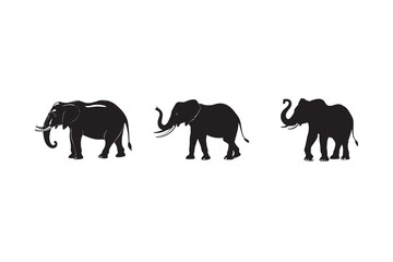 Obraz premium Three Black Silhouette Elephants