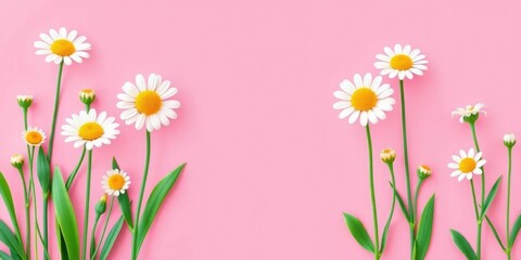 Naklejka premium Cute daisy flower icons, pink background, vector illustration, floral pattern, bright