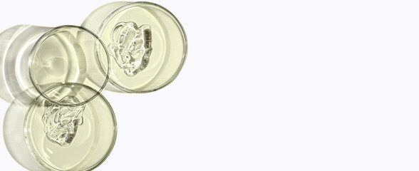 A sample of skin serum or moisturizing gel in a Petri dish. A cosmetic product. Copy space