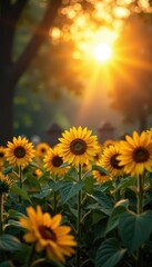 Obraz premium Sunflowers brightly illuminate a sun-drenched graveyard , still life, yellow, sun