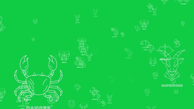 zodiac signs astrology and horoscope icons green screen animation, horoscope fortune isolated on green background social media motion design element