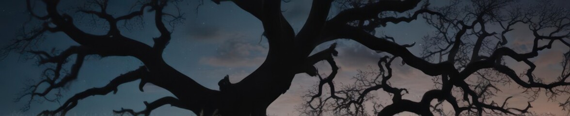 Fototapeta premium Ancient gnarled oak silhouetted against a pale moonlit sky , sky, scene