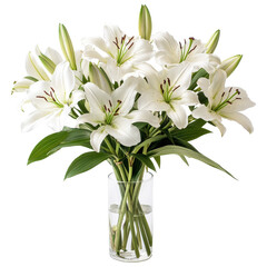 Fototapeta premium Elegant white lily bouquet displayed in a clear vase against a simple Transparent background, lilly bouquet. PNG background