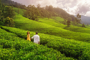 A couple enjoys a scenic walk through the lush tea plantations of Nuwara Eliya, Sri Lanka....