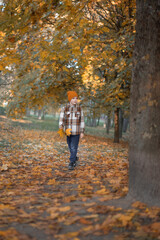 Fototapeta premium A boy walks through an autumn park, holding yellow leaves in his hand, looking around. Family, upbringing, autumn, children