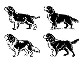 cavalier king charles spaniel sihouette black vector bundle