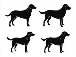 labrador retriever sihouette black vector bundle