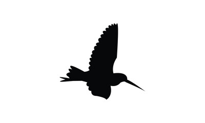 Flying African snipe bird Silhouette Design  And Vector Illustration. 