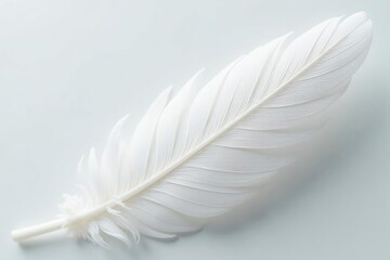Obraz premium Crisp white feathers on pristine white, close-up, wing, image, avian