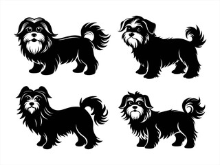 Fototapeta premium maltese sihouette black vector bundle