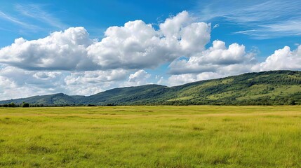 Fototapeta premium A vast green meadow stretches across the landscape, framed by distant hills and a forest, under a bright sky filled with fluffy clouds, perfect for travel and eco-friendly vacation projects. 