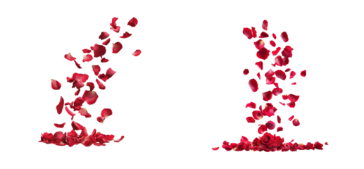 Falling red petal arrangements. Romantic decor component cut out transparent