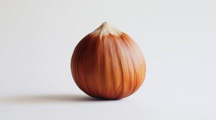 Single hazelnut, close-up