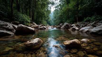 Serene river flowing through dense forest landscape with captivating beauty
