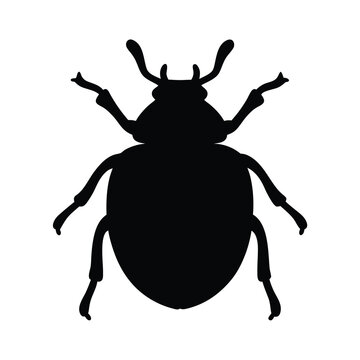 Silhouette of a Scarab Beetle vector with Long Antennae and Six Legs