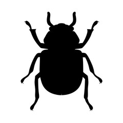Monochrome silhouette of a beetle vector with antennae and visible segmented legs