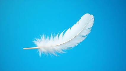 White Feather on Vibrant Blue Background for Nature and Freedom Themes