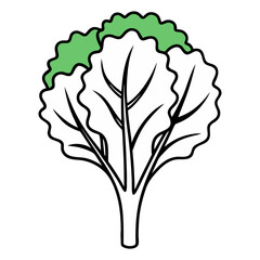 Kale Vegetable Outline Coloring Book Page Line Art