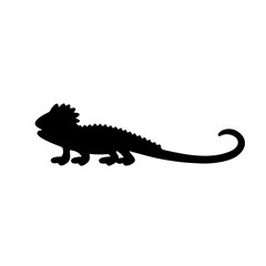 Fototapeta premium Pet Lizard silhouette vector flat illustration design.
