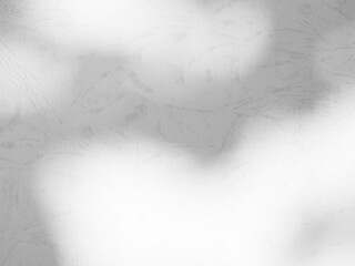 Background shadow white light line wall floor backdrop overlay mockup summer sunight overlay nature on room cement abstract blur muckup effect grey minimal platform for presentation product