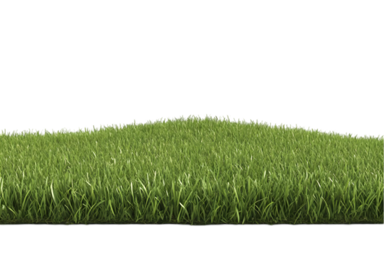 Realistic Grassy Field Isolated Background Illustration