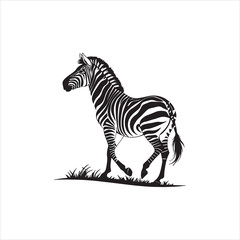Zebra Silhouette Illustration, Black and White Wild Animal Design