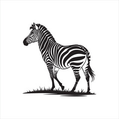 Zebra Silhouette Illustration, Black and White Wild Animal Design