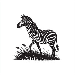 Zebra Silhouette Illustration, Black and White Wild Animal Design