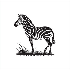 Fototapeta premium Zebra Silhouette Illustration, Black and White Wild Animal Design