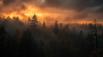 A misty forest landscape is shrouded in a warm, orange glow during twilight or sunrise moment.