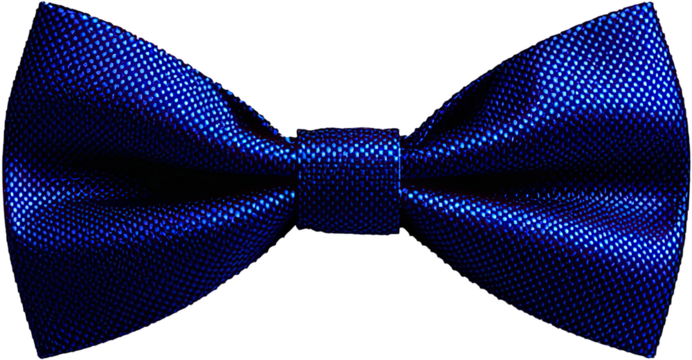 A vibrant blue bow tie, patterned with a subtle grid, presents a sharp and stylish visual statement.