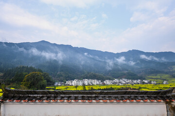 Rural Chinese Village Landscape with Mustard Fields