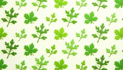 Delicate parsley sprig pattern, repeating motif, macro, wallpaper