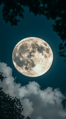 Fototapeta premium A large bright full moon hangs in a night sky partially obscured by fluffy clouds and silhouetted tree branches