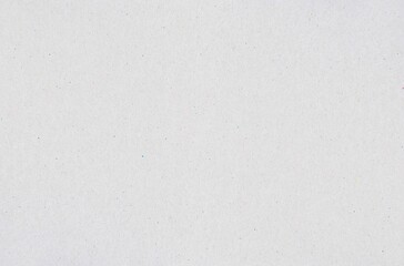 A sheet of white recycled craft paper as background