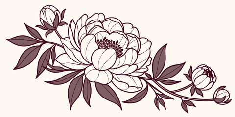 Luxurious Peony Flower Vector With Layered Petals