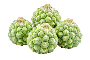 Fototapeta premium Group of light green, bumpy, round fruits, displayed against a plain backdrop. The close-up view emphasizes the unique surface texture.