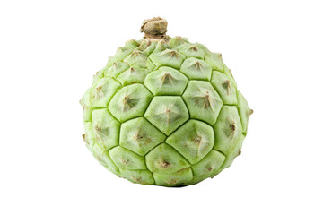 Fototapeta premium Single, light green fruit with a distinctly hexagonal, patterned exterior is displayed against a plain backdrop. The lighting highlights the textures of the fruit.