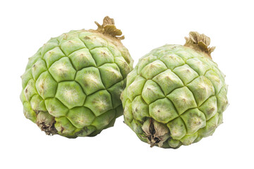 Fototapeta premium Two small, light-green, globular fruits with a distinctive, textured surface, presented close-up against a plain backdrop.
