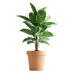 A vibrant indoor plant in a rustic terracotta pot brings life and freshness to any space.