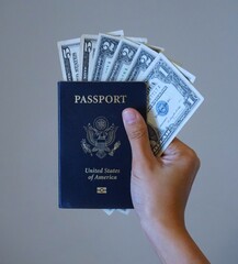 Pasaporte estadounidense, d&oacute;lares estadounidenses de varias denominaciones, viaje a los Estados Unidos. Inversi&oacute;n en los Estados Unidos, ahorro.