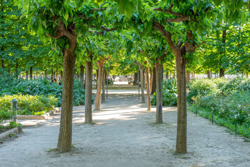 Obraz premium Le Jardin des Tuileries au printemps dans la ville de Paris en France