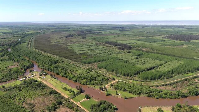 Aerial view of reforestation fields and river near Villa Paranacito, Entre R&iacute;os Province, Argentina.