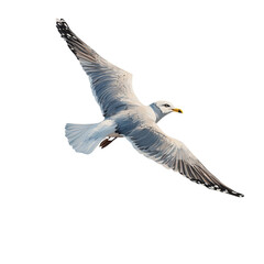 Fototapeta premium A seagull flying over a sandy beach with waves crashing
