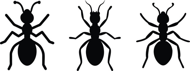 Black Ant Silhouettes Collection. Insect Vector Set for Nature Icons and Illustrations
