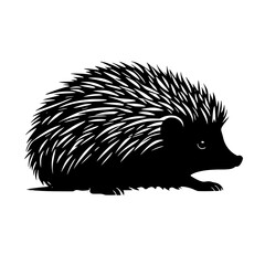 hedgehog on a green background