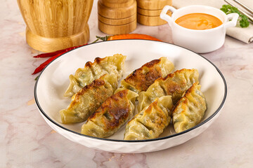 Japanese fried Gyoza stuffed dumplings