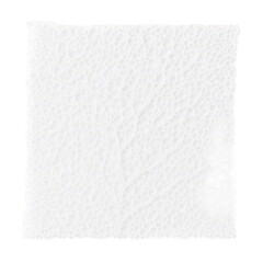 A detailed view of a delicate white material featuring an intricate, porous, organic network pattern.