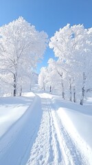 Obraz premium Winter Frost Covered Trees with Bright Blue Sky