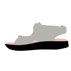 women shoes set vector illustration